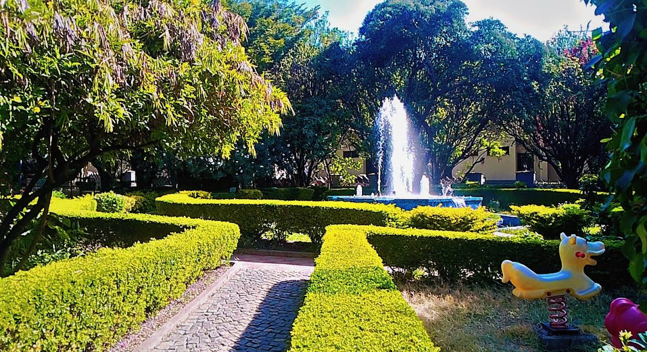 Lush Green Botanical Garden Grounds